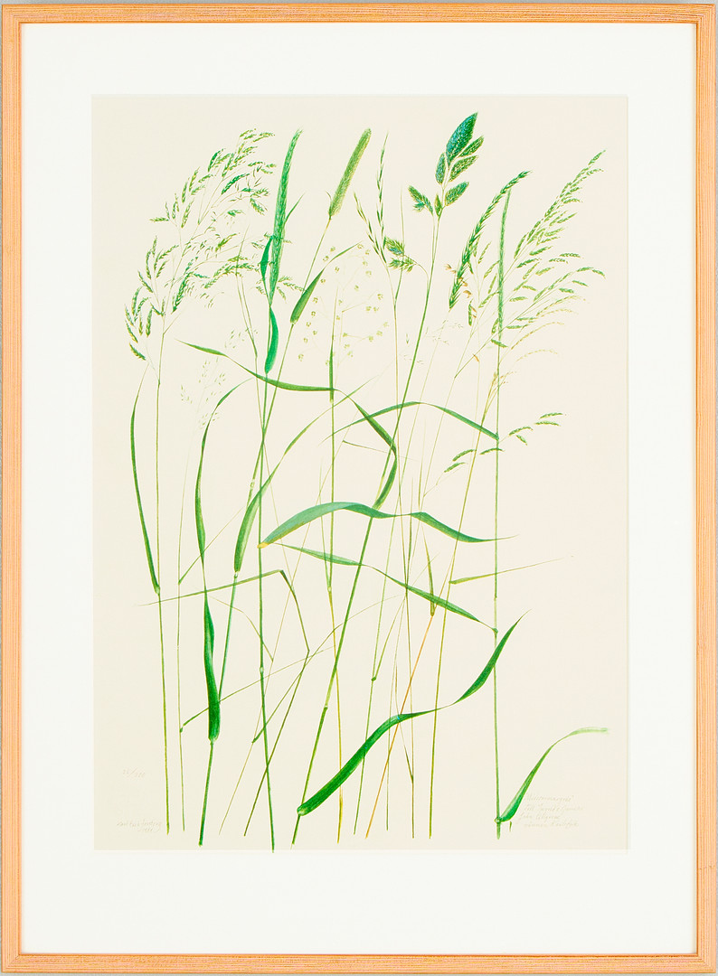 KARL-ERIK FORSBERG. "Midsommargräs".