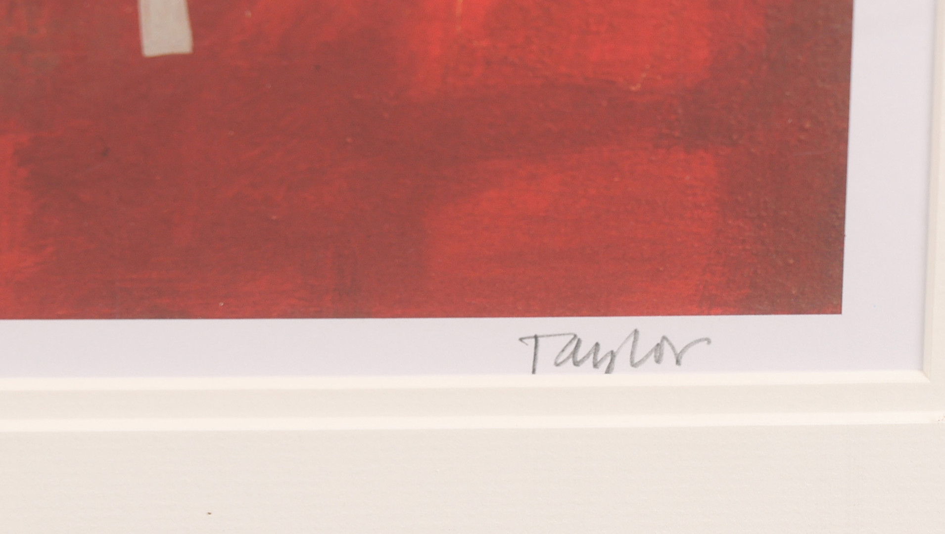 FRANK TAYLOR, LIMITED EDITION PRINT "RAJASTAN".