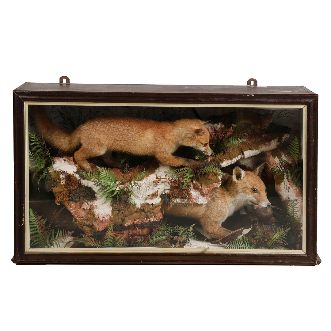 A VICTORIAN TAXIDERMY GROUP WITH TWO FOXES.