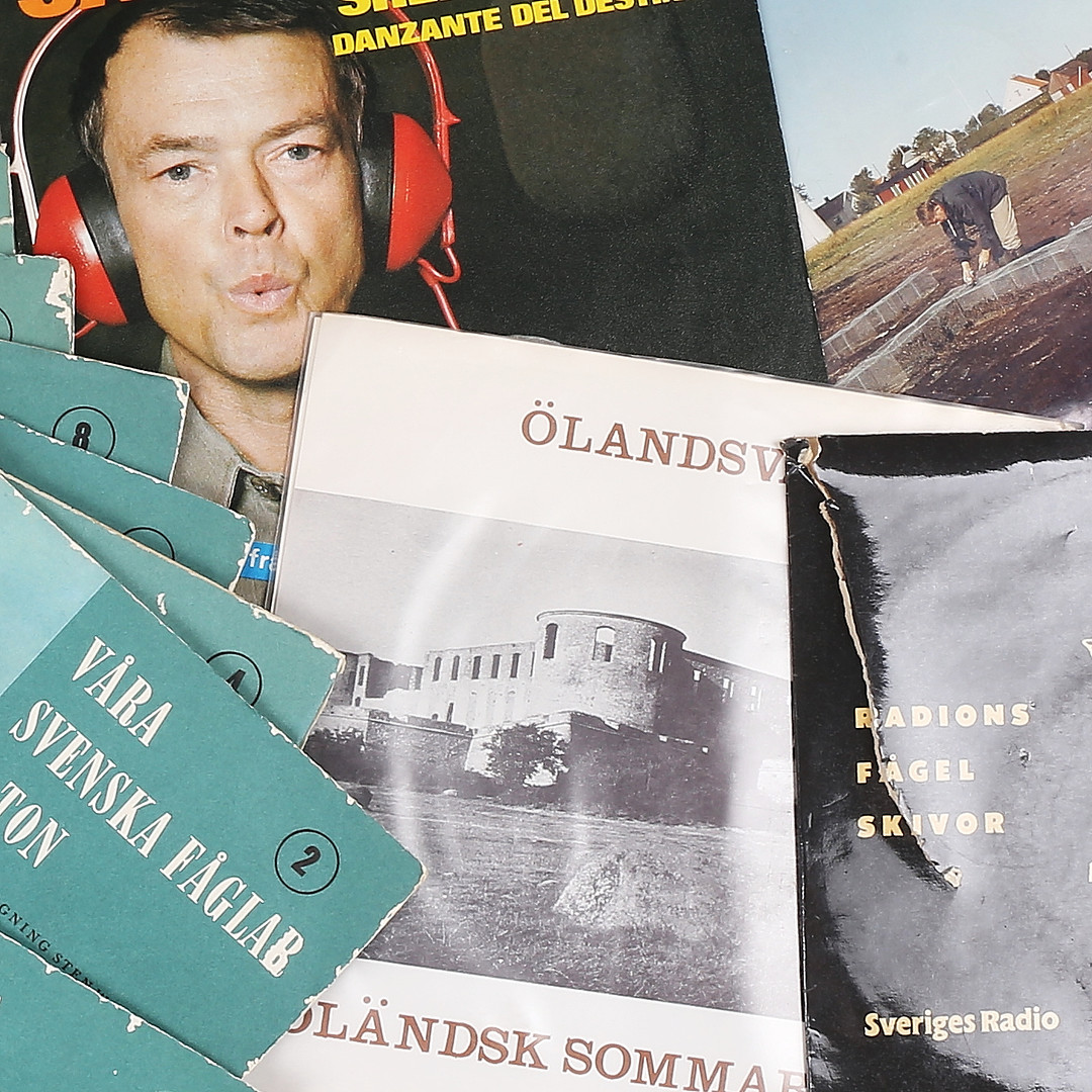"VÅRA SVENSKA FÅGLAR I TON" m fl fågelvinyler, EP-skivor.