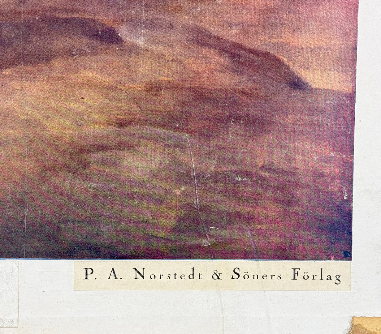 SKOLPLANSCH - "kopparormen" P.A Norsteds & söners förlag, 1900 talets mitt.