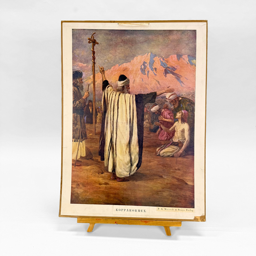 SKOLPLANSCH - "kopparormen" P.A Norsteds & söners förlag, 1900 talets mitt.