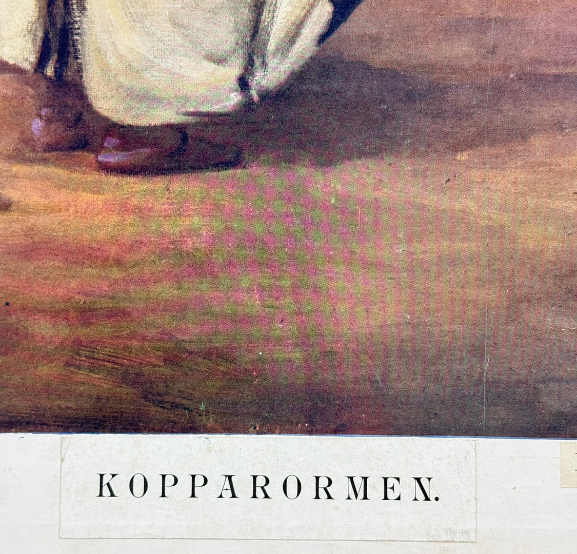 SKOLPLANSCH - "kopparormen" P.A Norsteds & söners förlag, 1900 talets mitt.