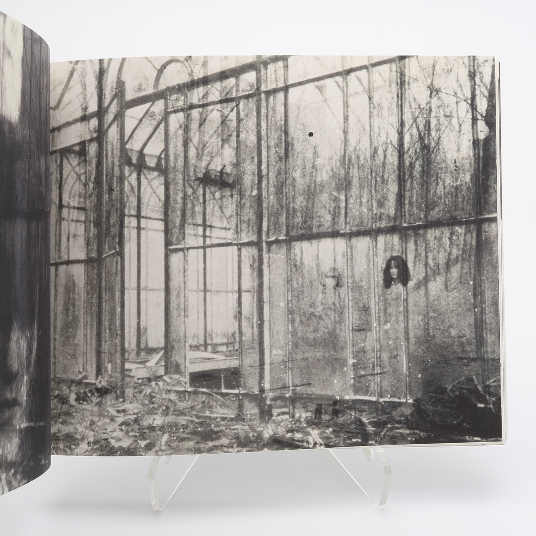 FOTO. DEN AMERIKANSKE FOTOGRAFEN DEBORAH TURBEVILLES "PAST IMPERFECT" I FÖRSTA UPPLAGAN, 2009.
