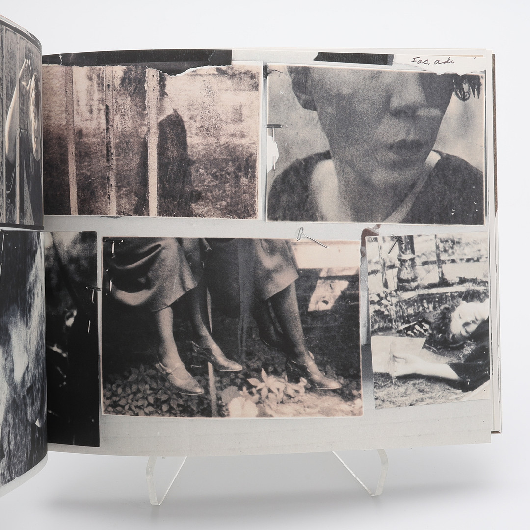 FOTO. DEN AMERIKANSKE FOTOGRAFEN DEBORAH TURBEVILLES "PAST IMPERFECT" I FÖRSTA UPPLAGAN, 2009.