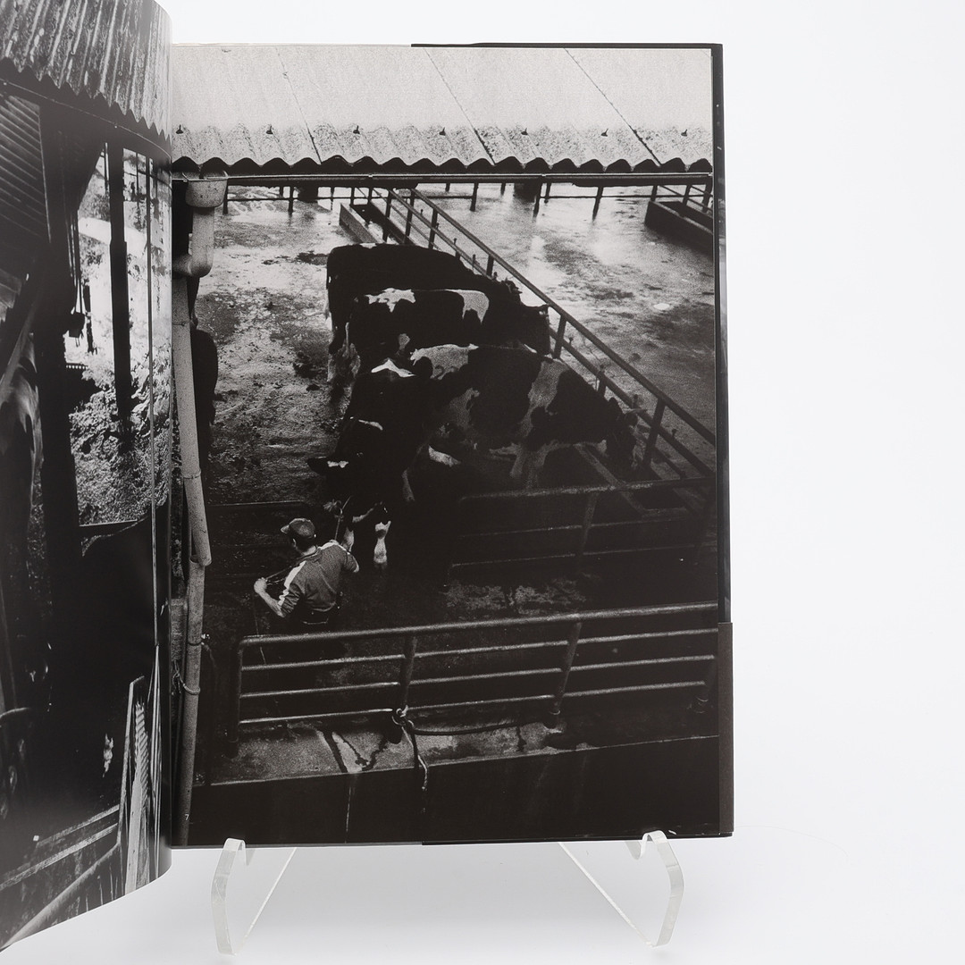 FOTO. DEN JAPANSKE FOTOGRAFEN SEIICHI MOTOHASHIS "ABATTOIR" I FÖRSTA UPPLAGAN, 2011.