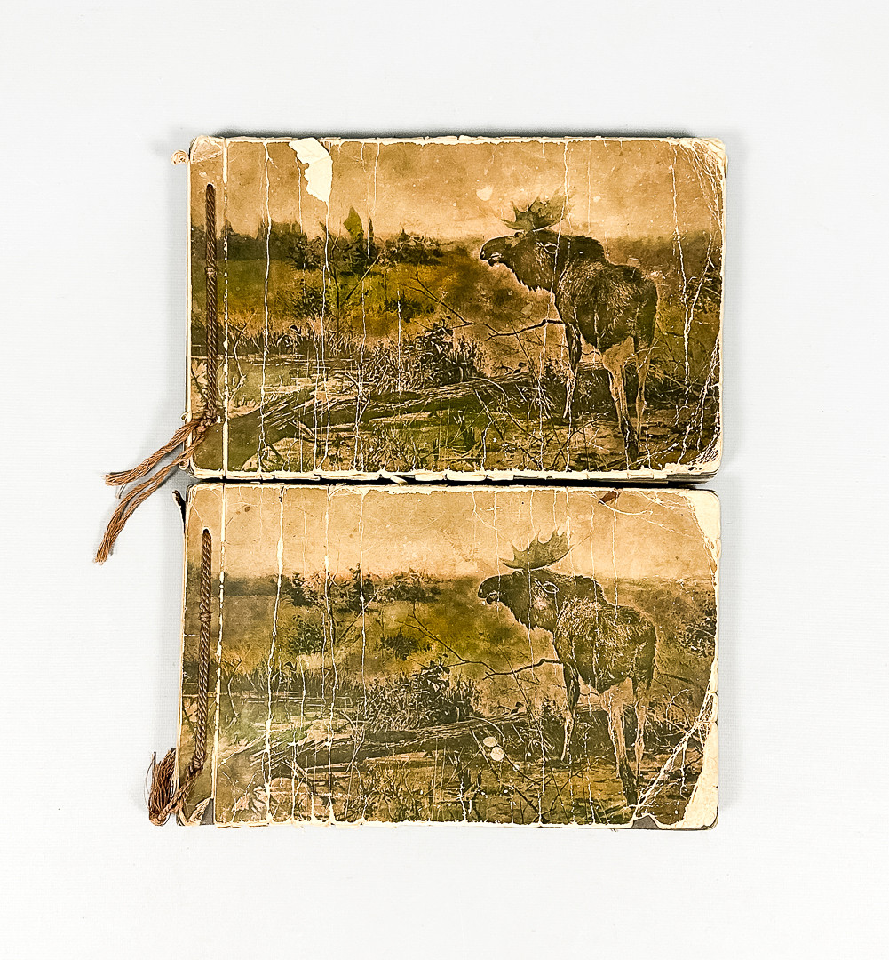 VYKORTSALBUM, 2 st, 1900-tal.
