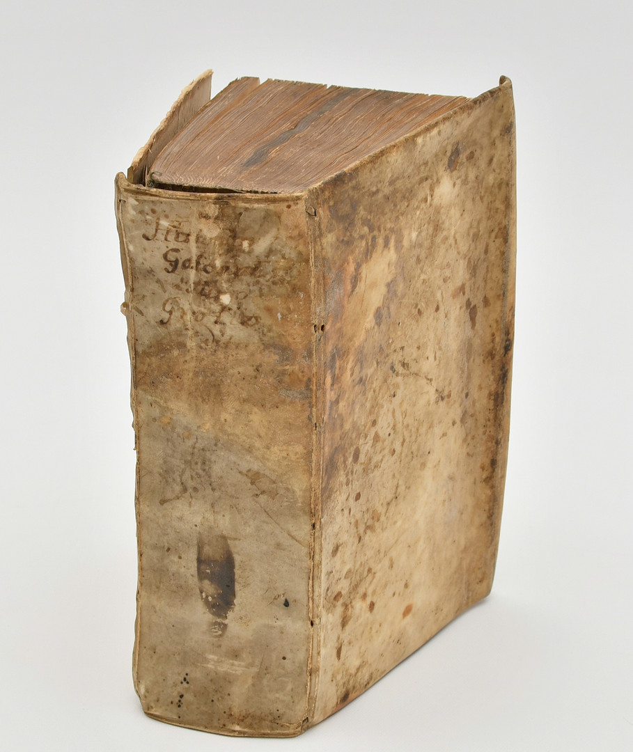 Historia gotthorum, vandalorum & langobardorum. Ab Hugone Grotio partim versa, partim in ordinem digesta. Præmissa sunt ejusdem prolegomena. Ubi regum gotthorum ordo & chronologia, cum elogiis. 1655.