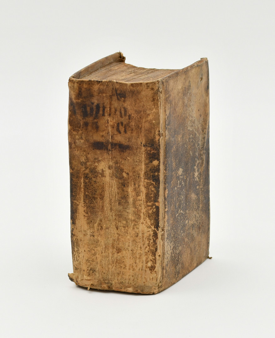 Heinrici Schaevii Chilonio- Cimbri Mythologia deorum ac heroum ex Natali Comite, Torrentino, Ravisii officina atqve poëtis classicis olim methodice a dicto autore contracta Cum Geographia Poetica & Mantissa materiae poetica, 1700.