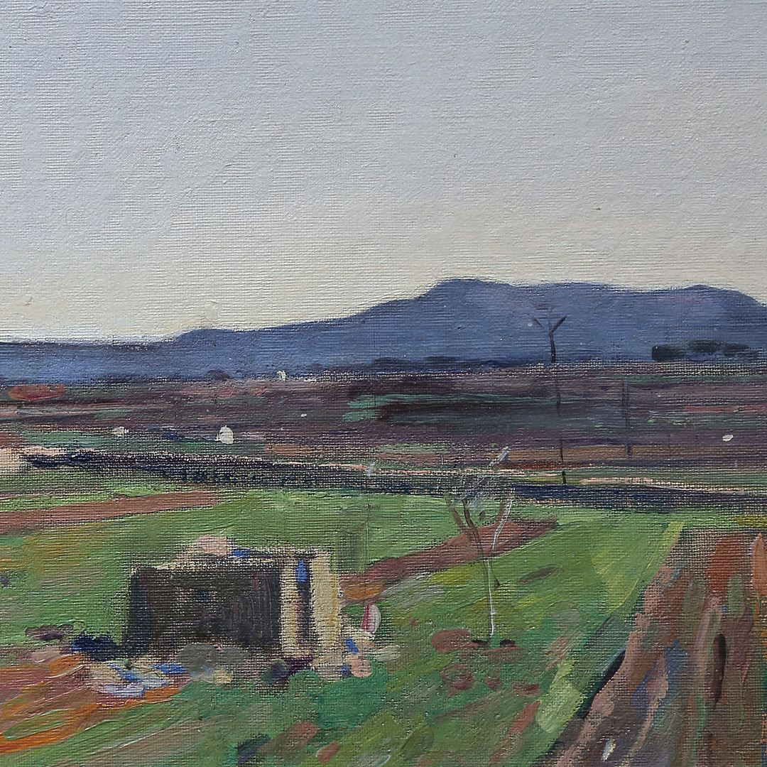 LLUÍS MARIA GÜELL. La Ràpita view.