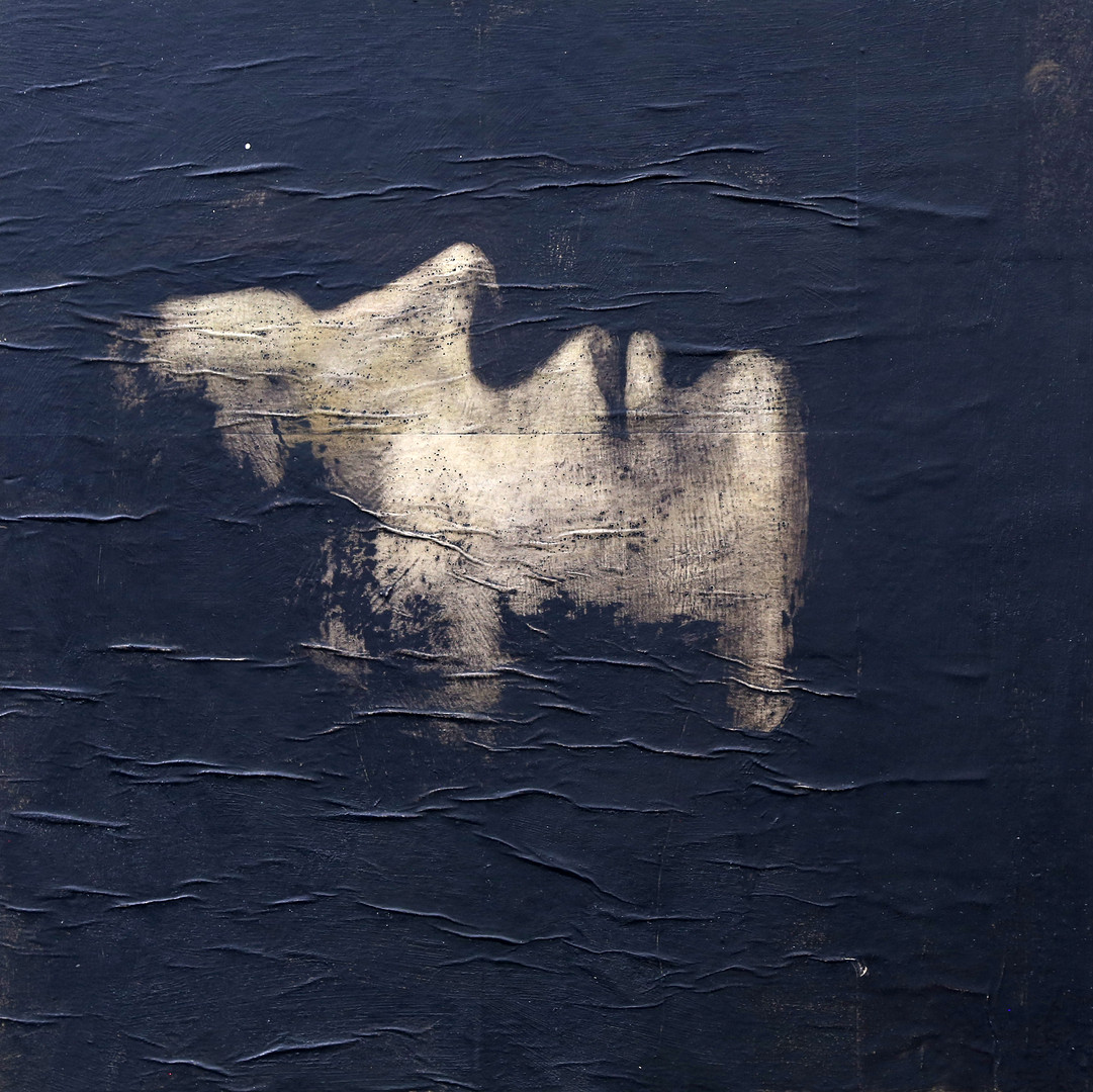PATRICIO REIG. Untitled.