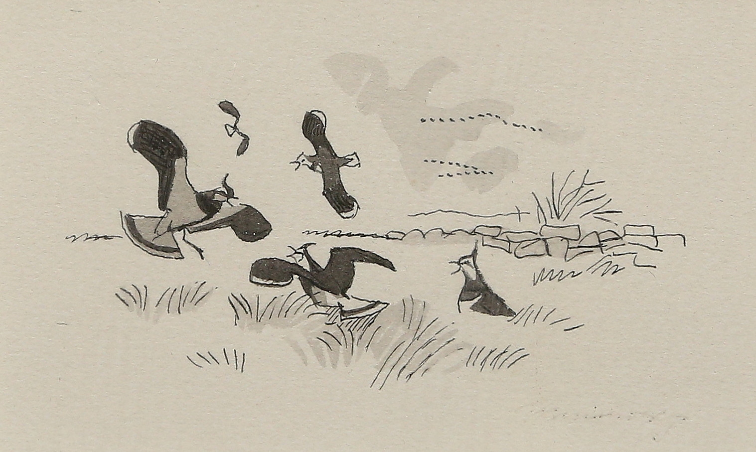 GUNNAR BRUSEWITZ. teckning, otydligt signerad.