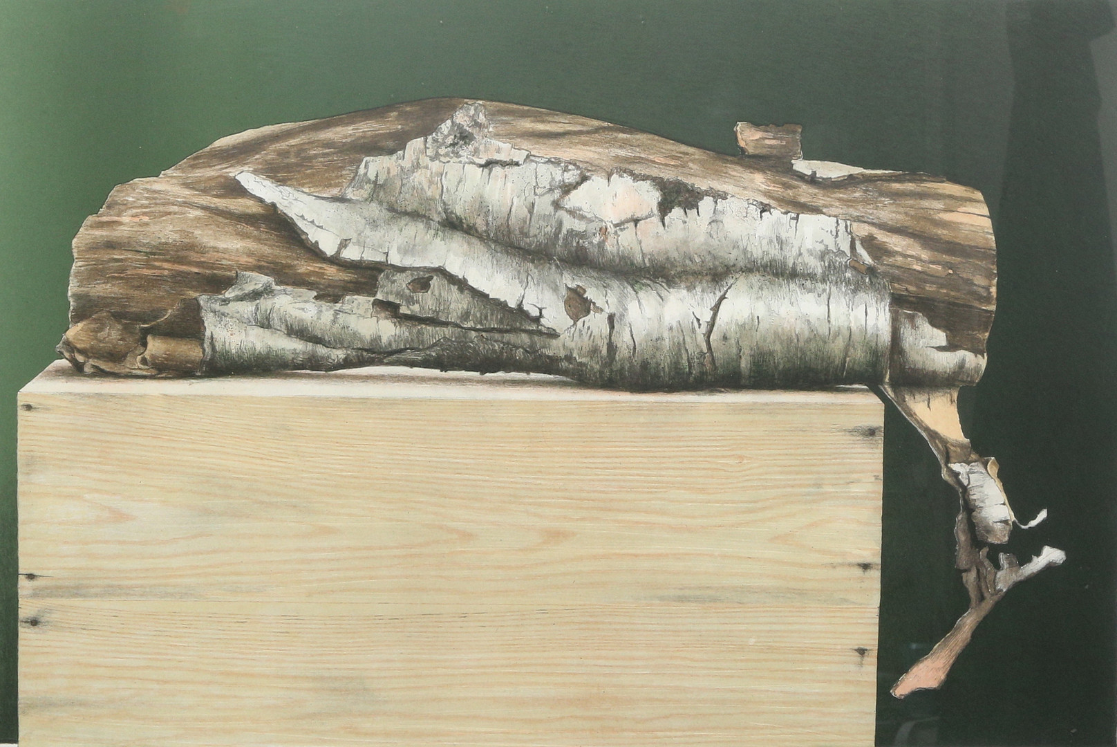PHILIP VON SCHANTZ. Björk, färglitografi, signerad, numrerad 119/160, 1982.