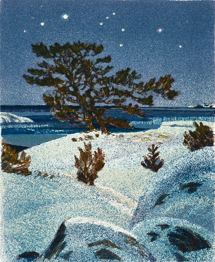 ROLAND SVENSSON (1910-2003). "Månljus, vinternatt", signerad roland S. färglitografi.