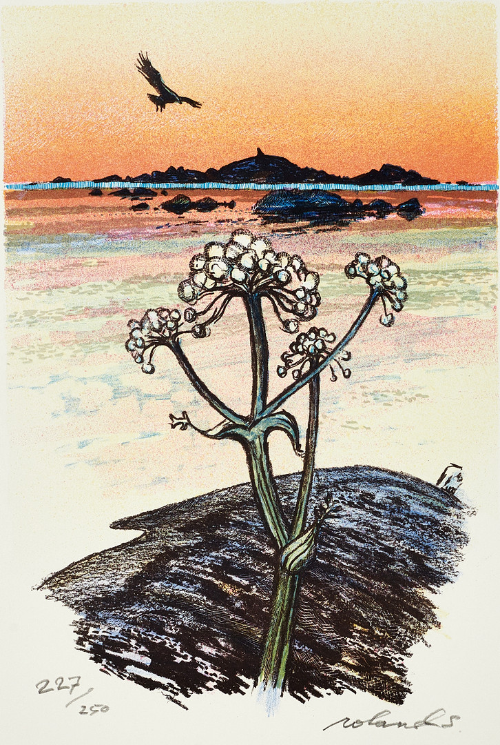 ROLAND SVENSSON (1910-2003. Björnloka i skärgården, signerad och numrerad 227/250, färglitografi.