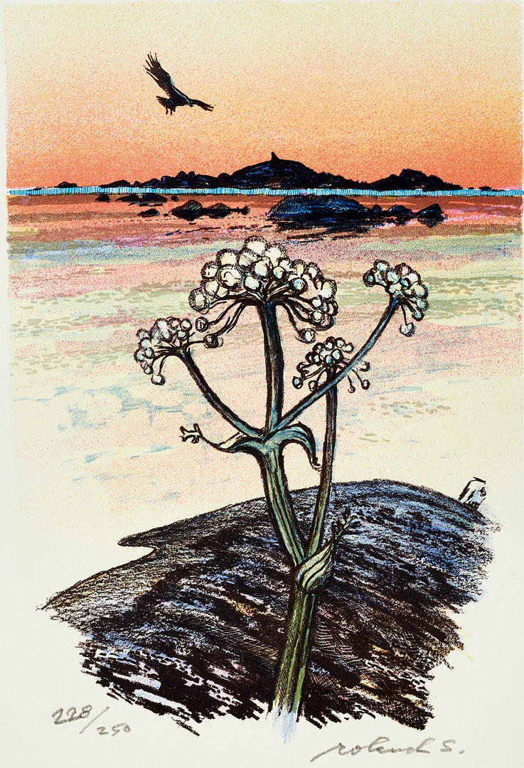 ROLAND SVENSSON (1910-2003. Björnloka i skärgården, signerad och numrerad 228/250, färglitografi.