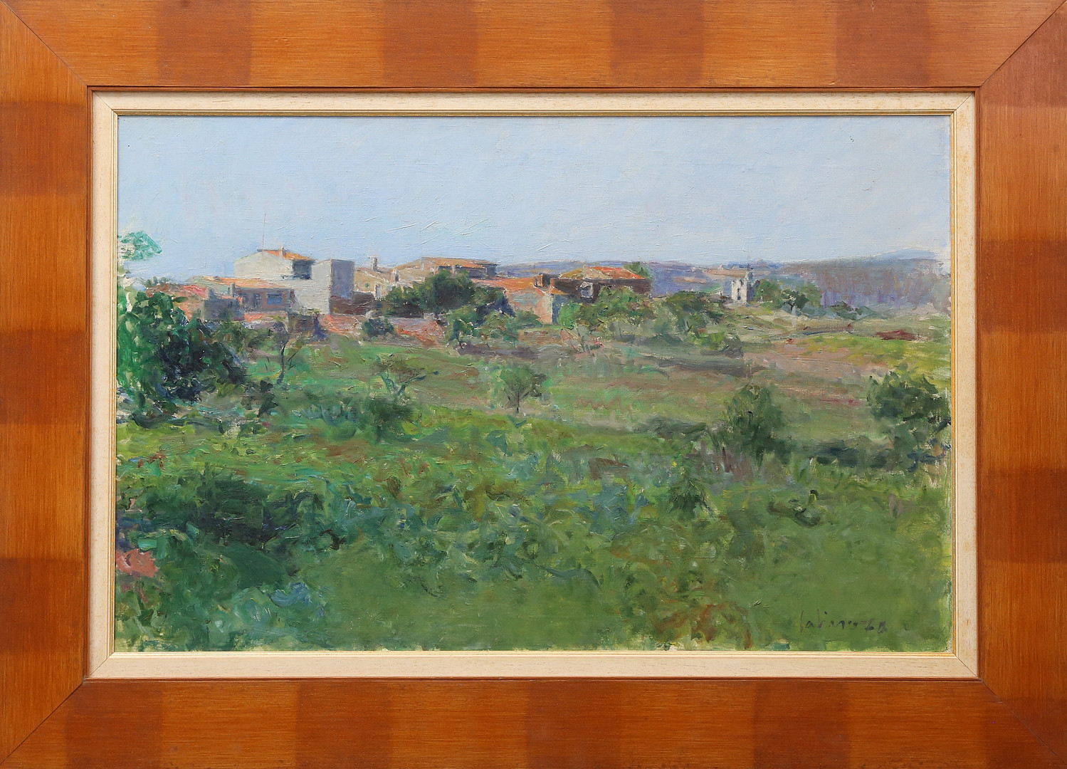 GABINO REY SANTIAGO. Rural view.