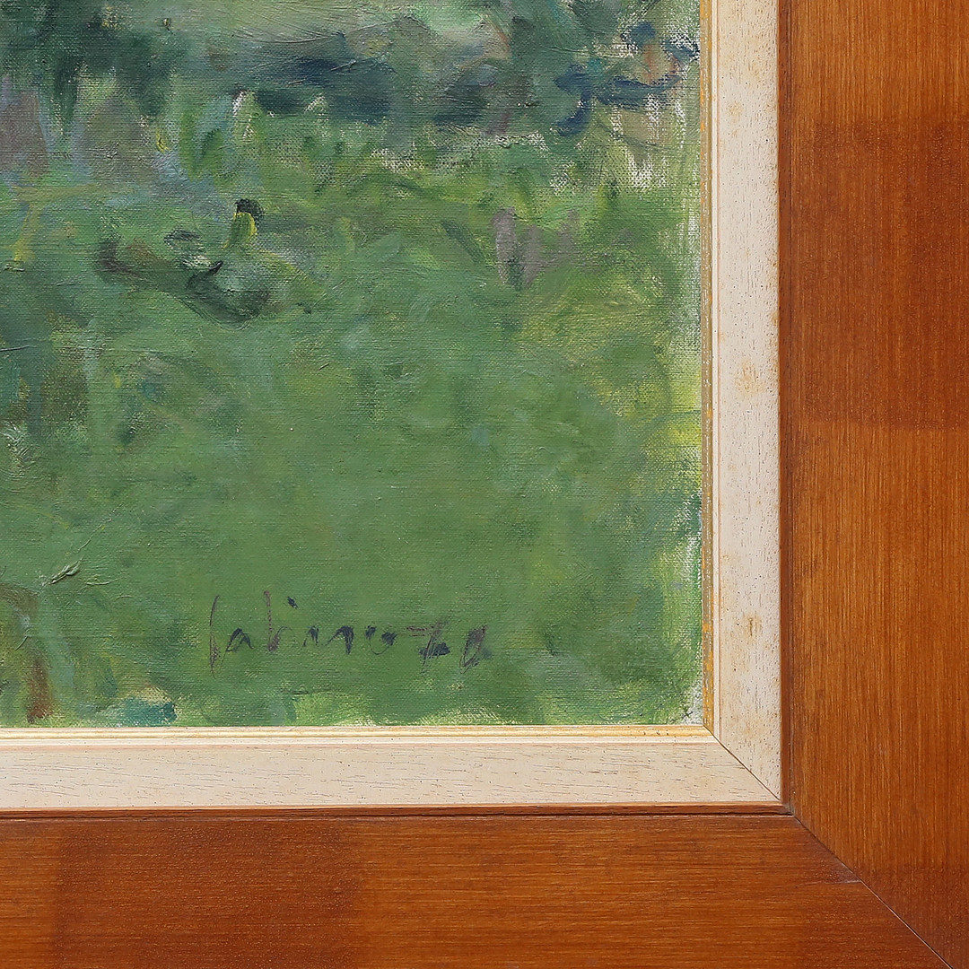 GABINO REY SANTIAGO. Rural view.