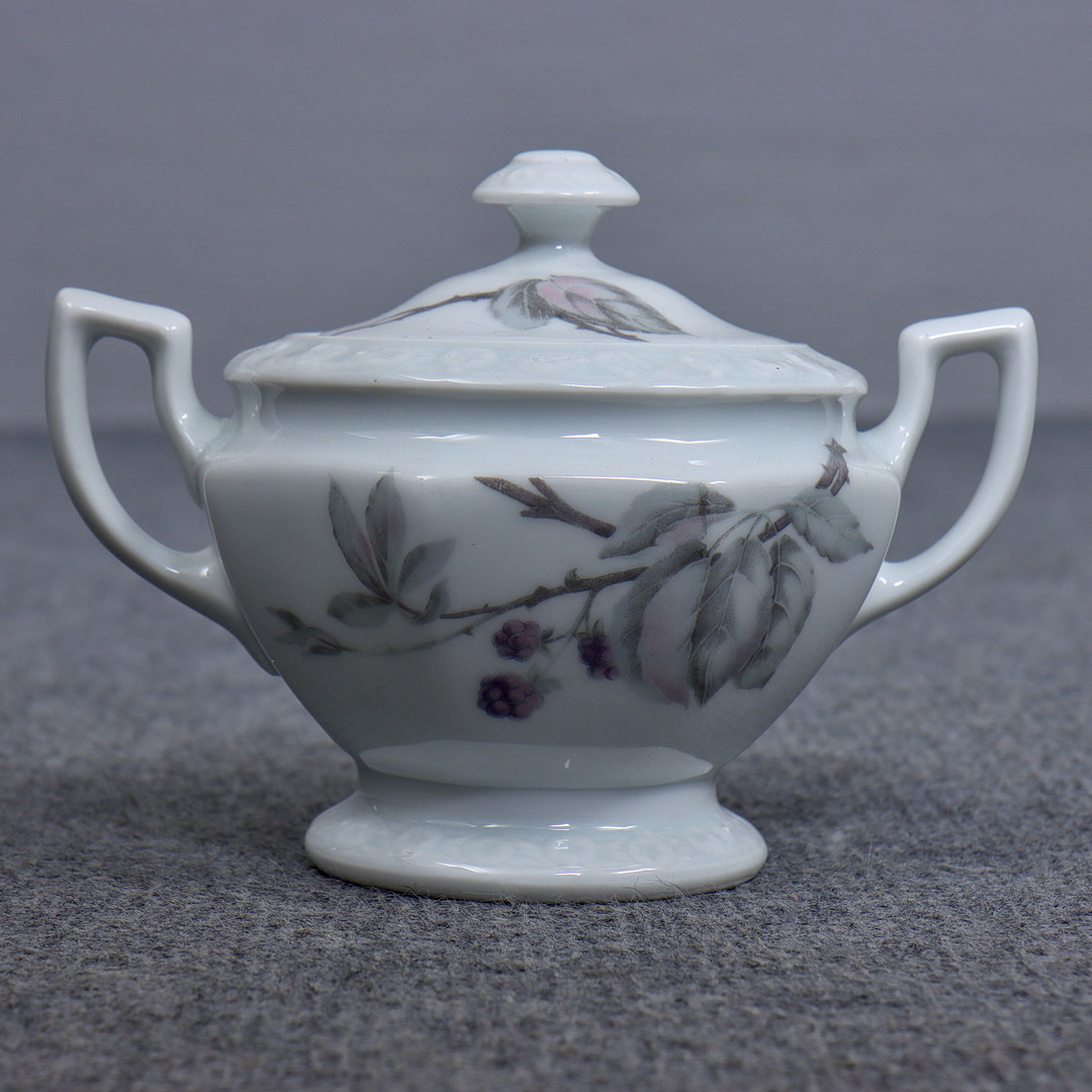 ROSENTHAL, KAFFESERVIS / TESERVIS I PORSLIN "MARIA BJÖRNBÄR", 40 DELAR, TYSKLAND, 1900-TALETS ANDRA HÄLFT.