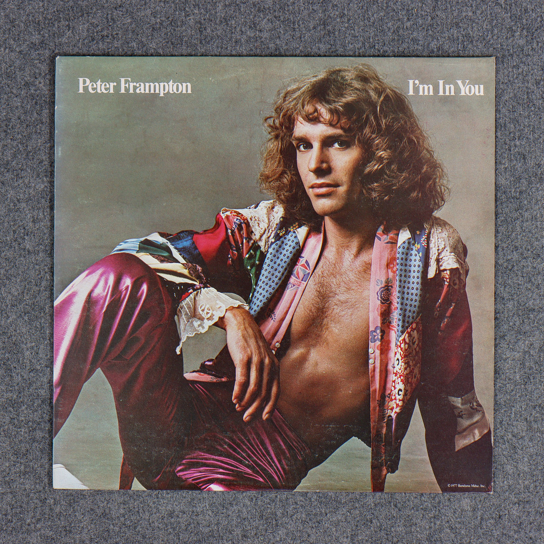 9 LP-SKIVOR, FLEETWOOD MAC, RORY GALLAGHER, DAVE EDMUNDS, PETER FRAMPTON, ROCKY HILL, JOHN FOGERTY, LEON RUSSELL, GOLDEN EARRING, FLUDD.