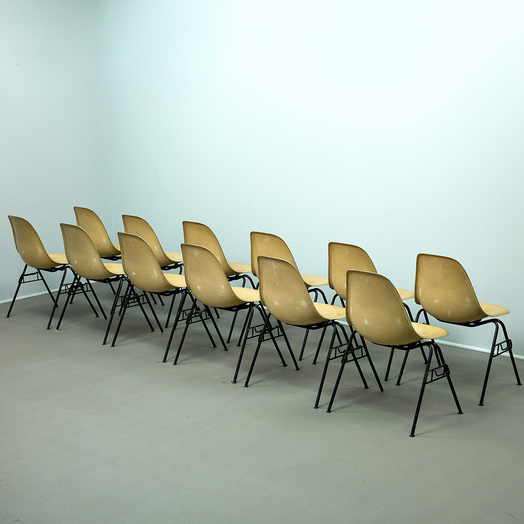 CHARLES & RAY EAMES. für Herman Miller, Stühle, DSS, Sitze aus Fiberglas, Metall, 70er Jahre (12).