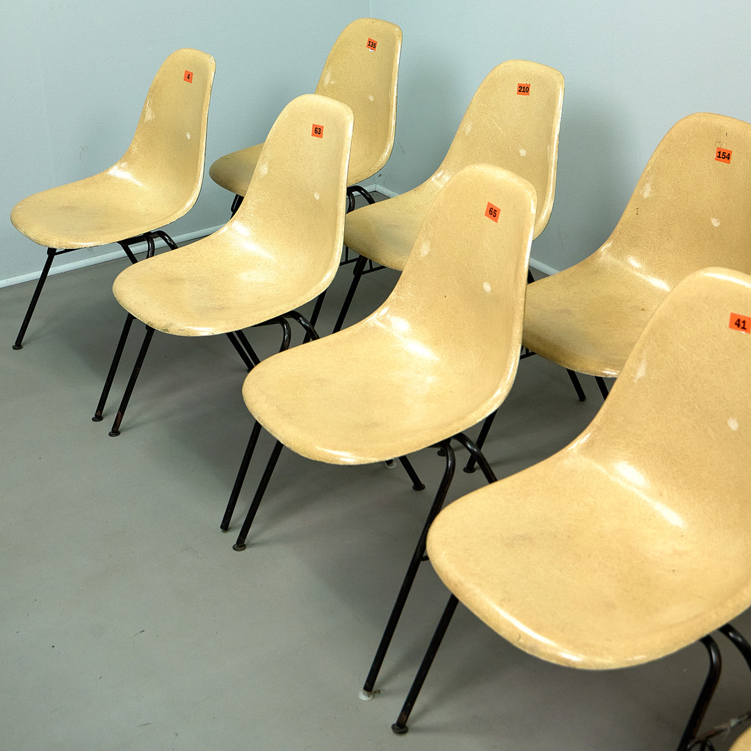 CHARLES & RAY EAMES. für Herman Miller, Stühle, DSS, Sitze aus Fiberglas, Metall, 70er Jahre (12).