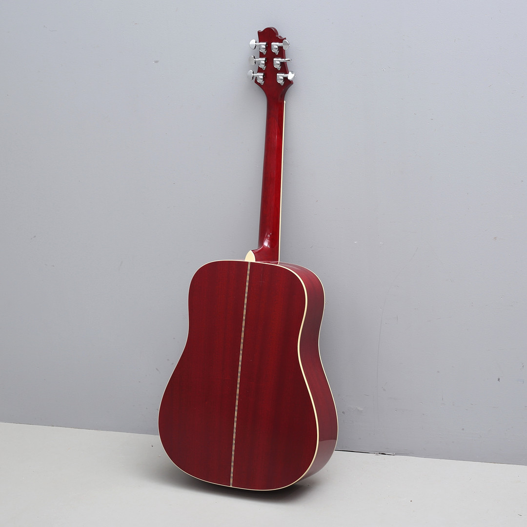 GITARR, med fodral, Greg Bennett "D-5/LH".