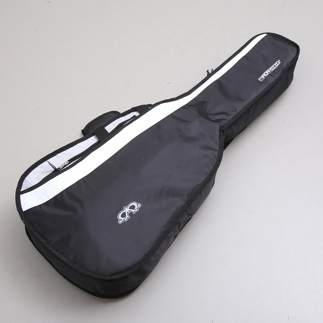 GITARR, med fodral, Greg Bennett "D-5/LH".