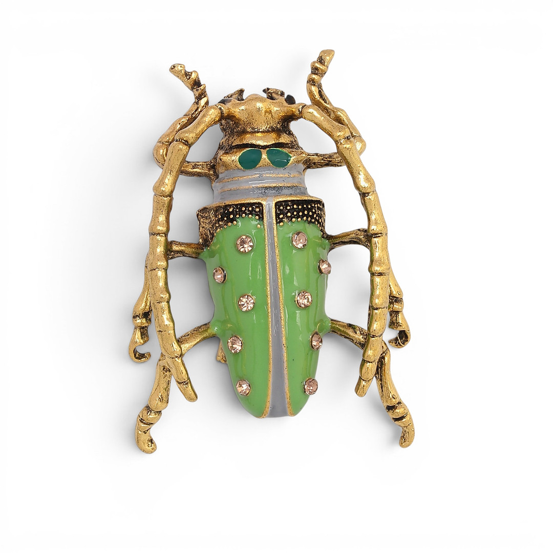 Beetle-shaped brooch.