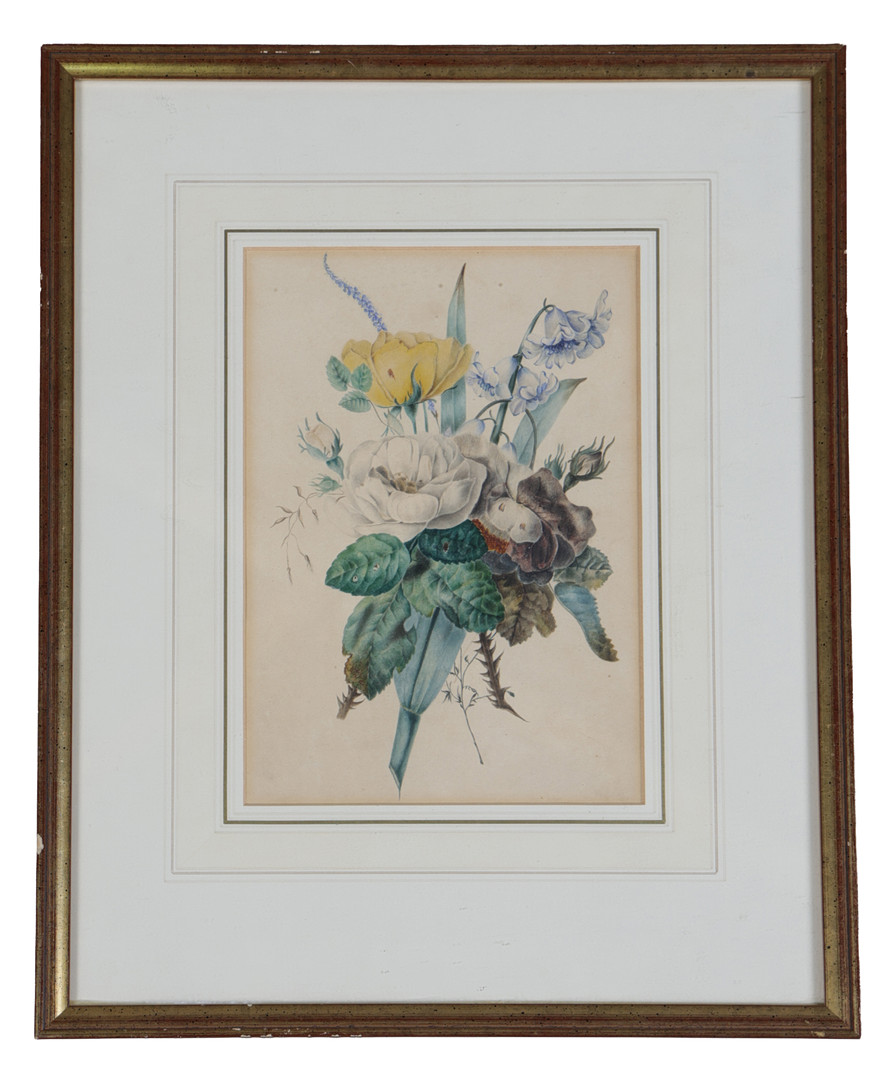 A 19TH CENTURY BOTANICAL WATERCOLOUR.