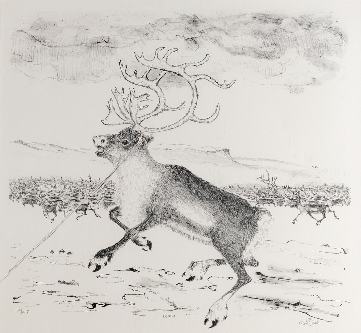 LARS PIRAK. "Renen", litografi, 130/205, signerad, 1900-tal.