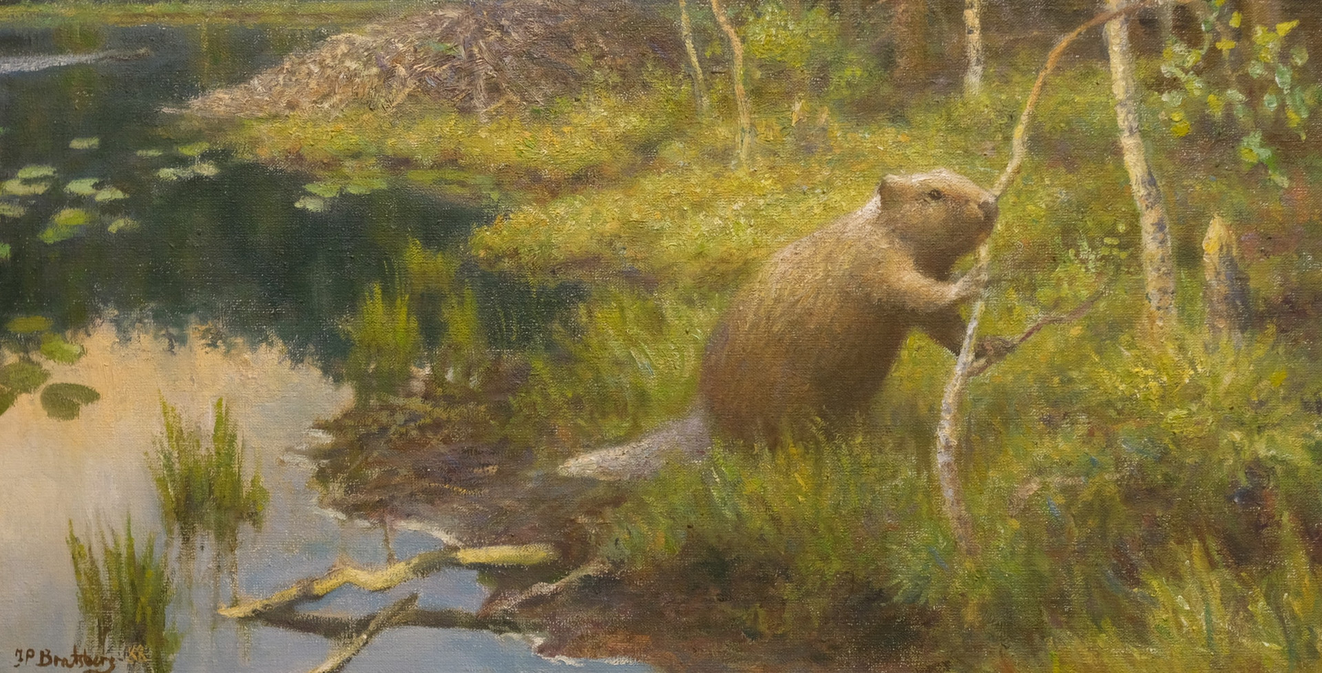 JAN PETTER BRATSBERG. OLJA PÅ DUK.