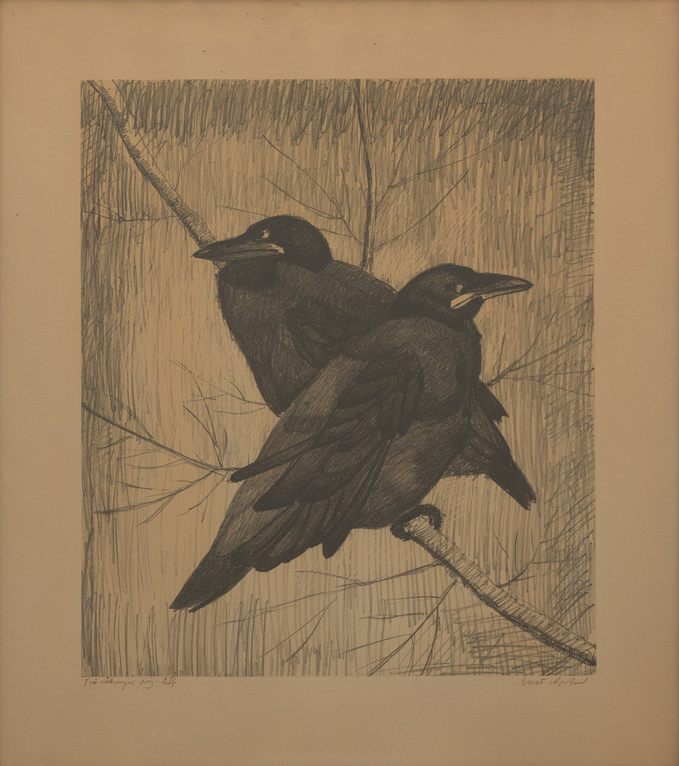 ERNST NORLIND. Råkungar, litogtafi, signerad.