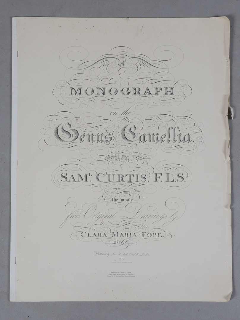 SAMUEL CURTIS MONOGRAPH OF THE GENUS CAMELLIA, FROM ORIGINAL DRAWINGS BY CLARA MARIA POPE - TRAYLEN FACSIMILE.