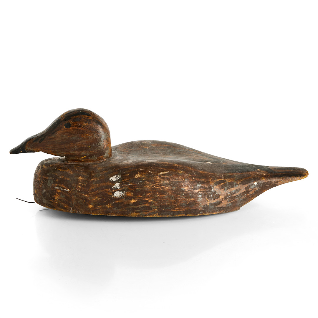VETTE, sjöfågel, Ejder, 1900-talets första del, Roslagen, Furusund.