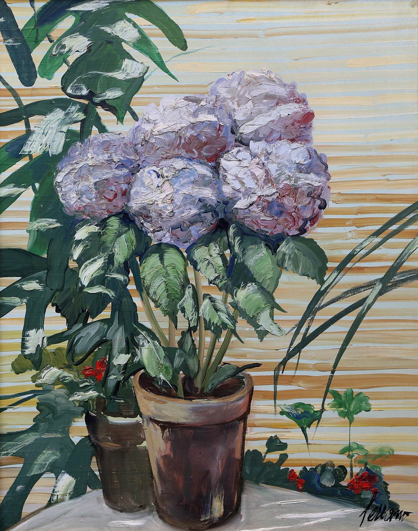 JOSEP MIQUEL SERRANO. Hydrangeas.