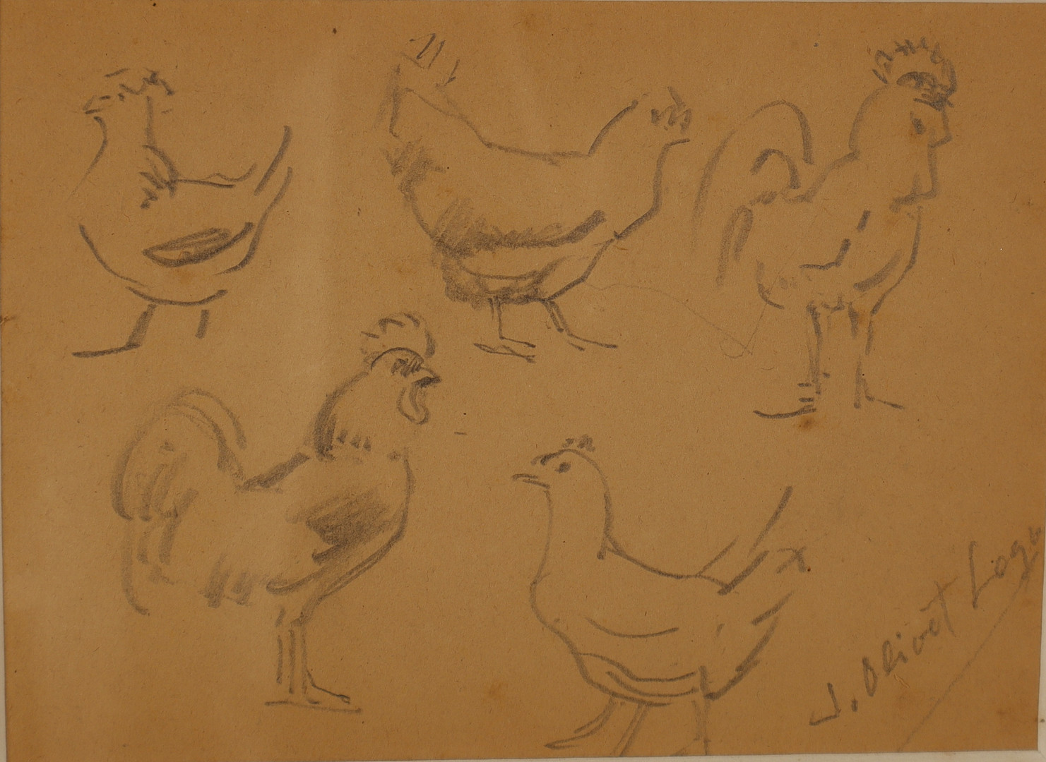 JOSEP OLIVET LEGARÉS. Gallos y gallinas.