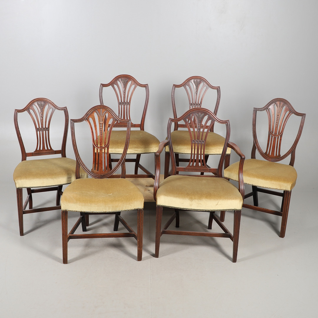 A SET OF SIX (5 + 1) HEPPLEWHITE PATTERN SHIELD BACK DINING CHAIRS.