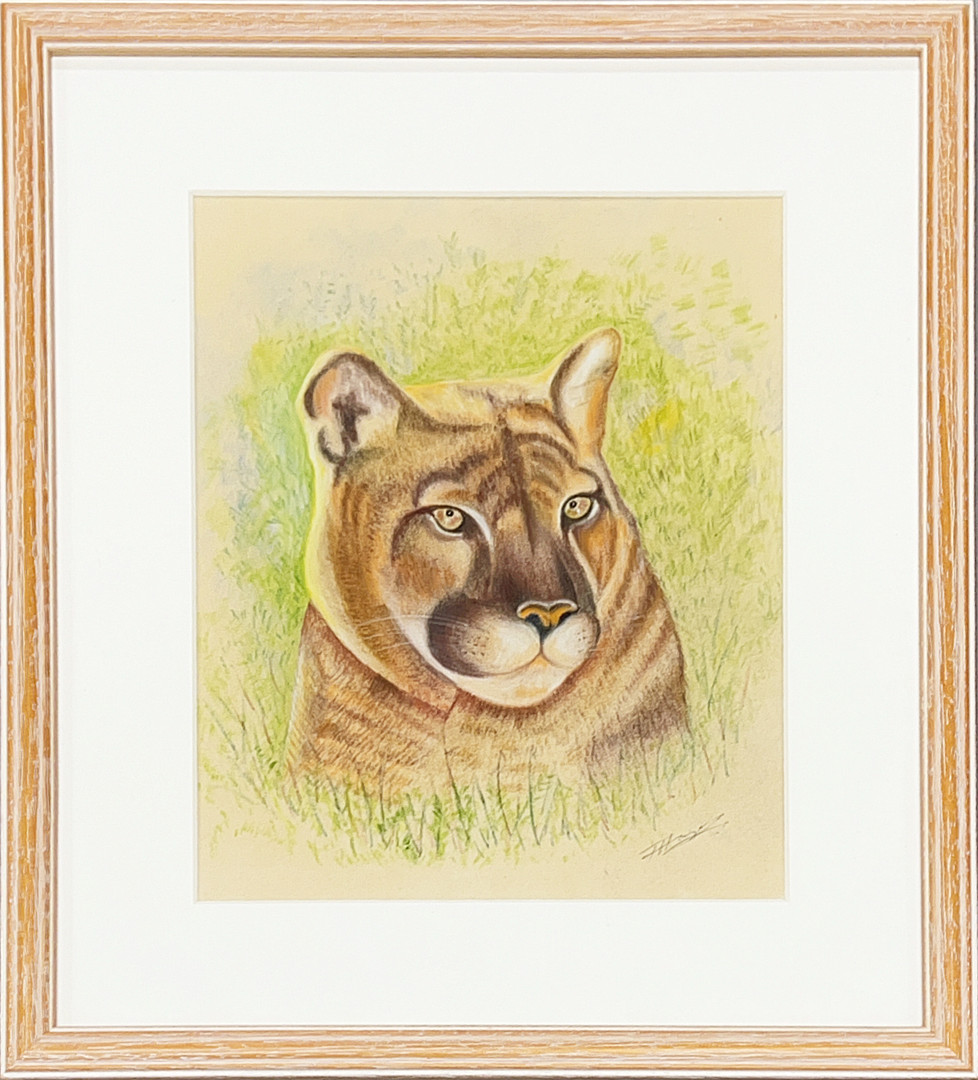 FRAMED PASTEL OF A COUGAR.