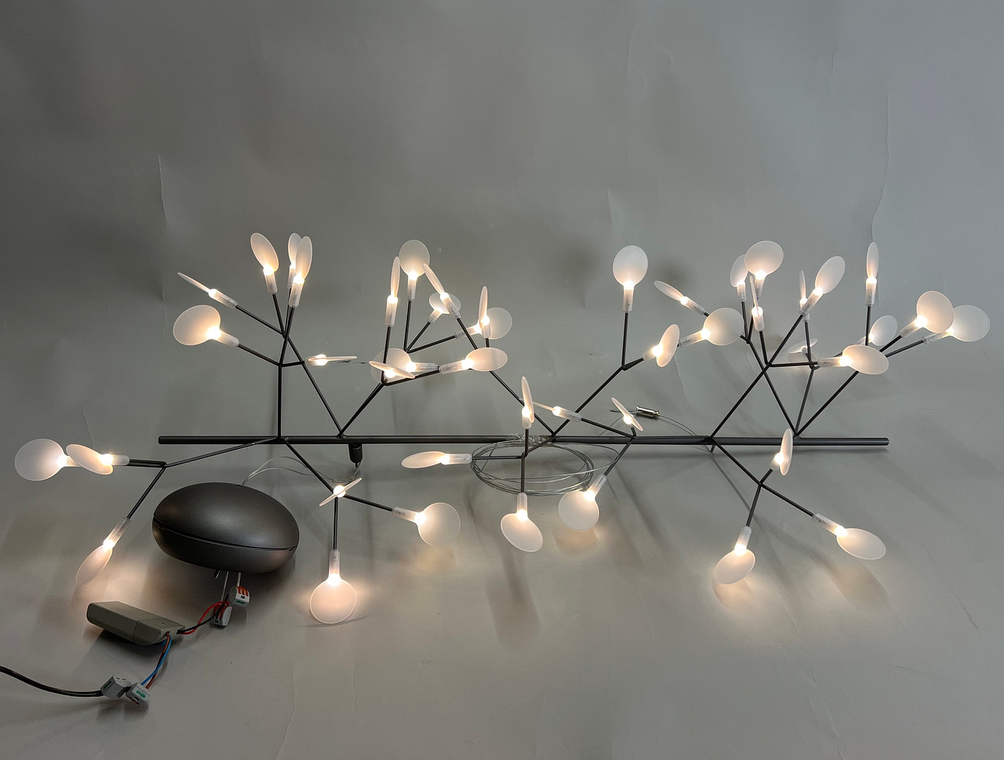 BERTJAN POT. MOOOI HERACLEUM ENDLESS.