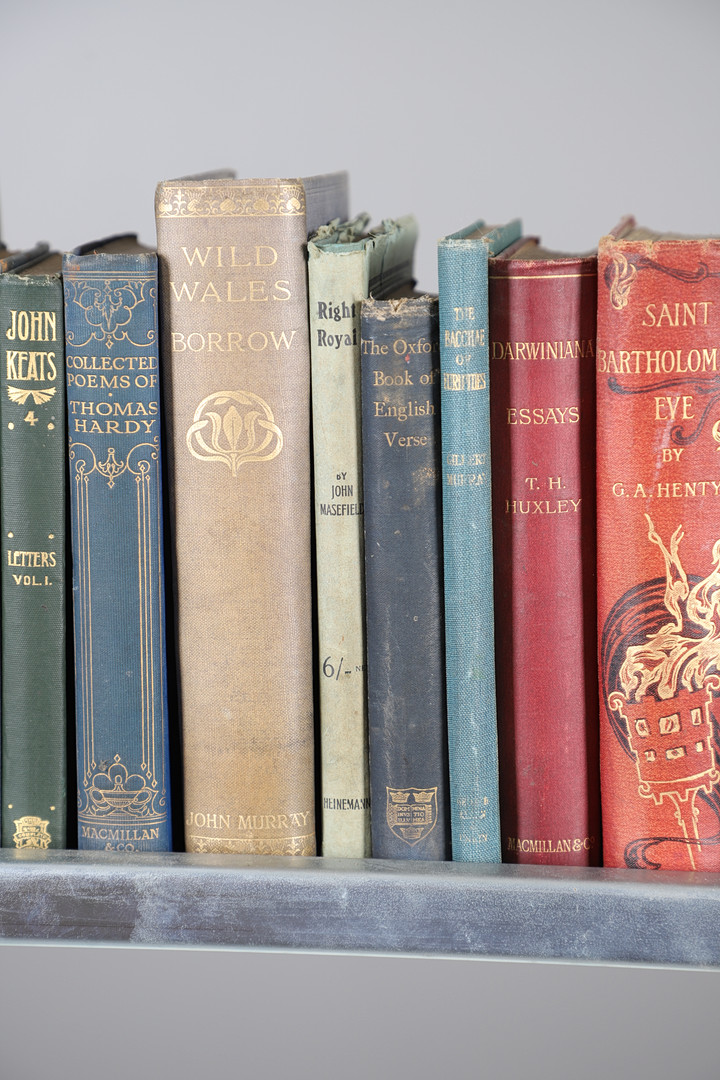 A COLLECTION OF NINETEENTH CENTURY AND LATER CLOTH BOUND VOLUMES.
