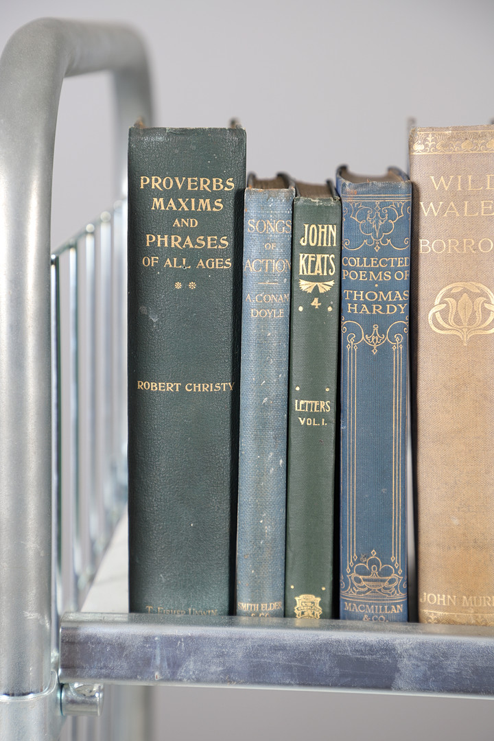 A COLLECTION OF NINETEENTH CENTURY AND LATER CLOTH BOUND VOLUMES.