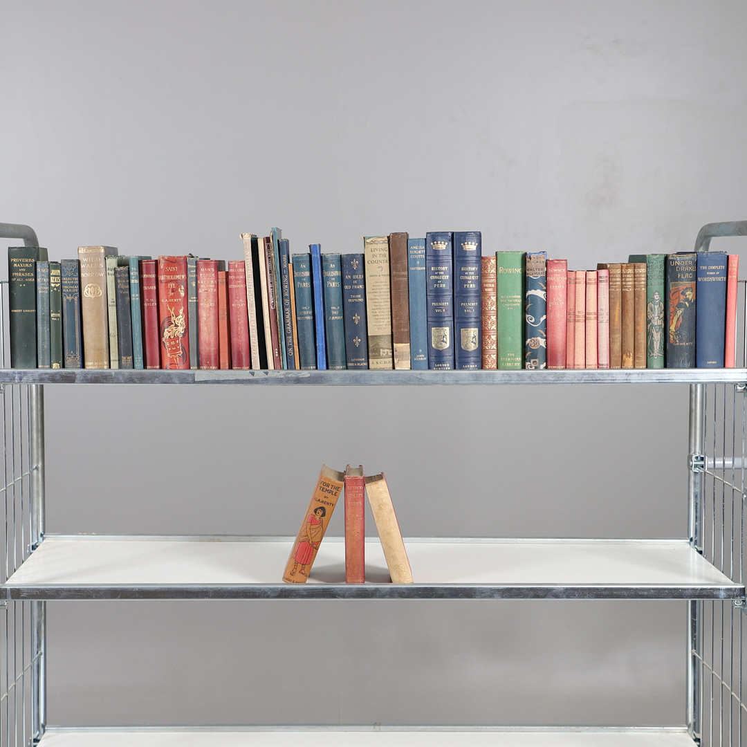 A COLLECTION OF NINETEENTH CENTURY AND LATER CLOTH BOUND VOLUMES.