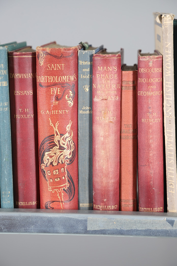 A COLLECTION OF NINETEENTH CENTURY AND LATER CLOTH BOUND VOLUMES.
