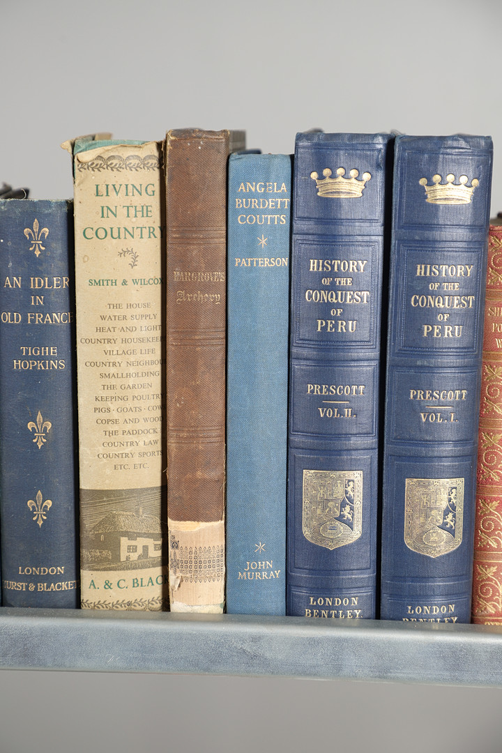 A COLLECTION OF NINETEENTH CENTURY AND LATER CLOTH BOUND VOLUMES.