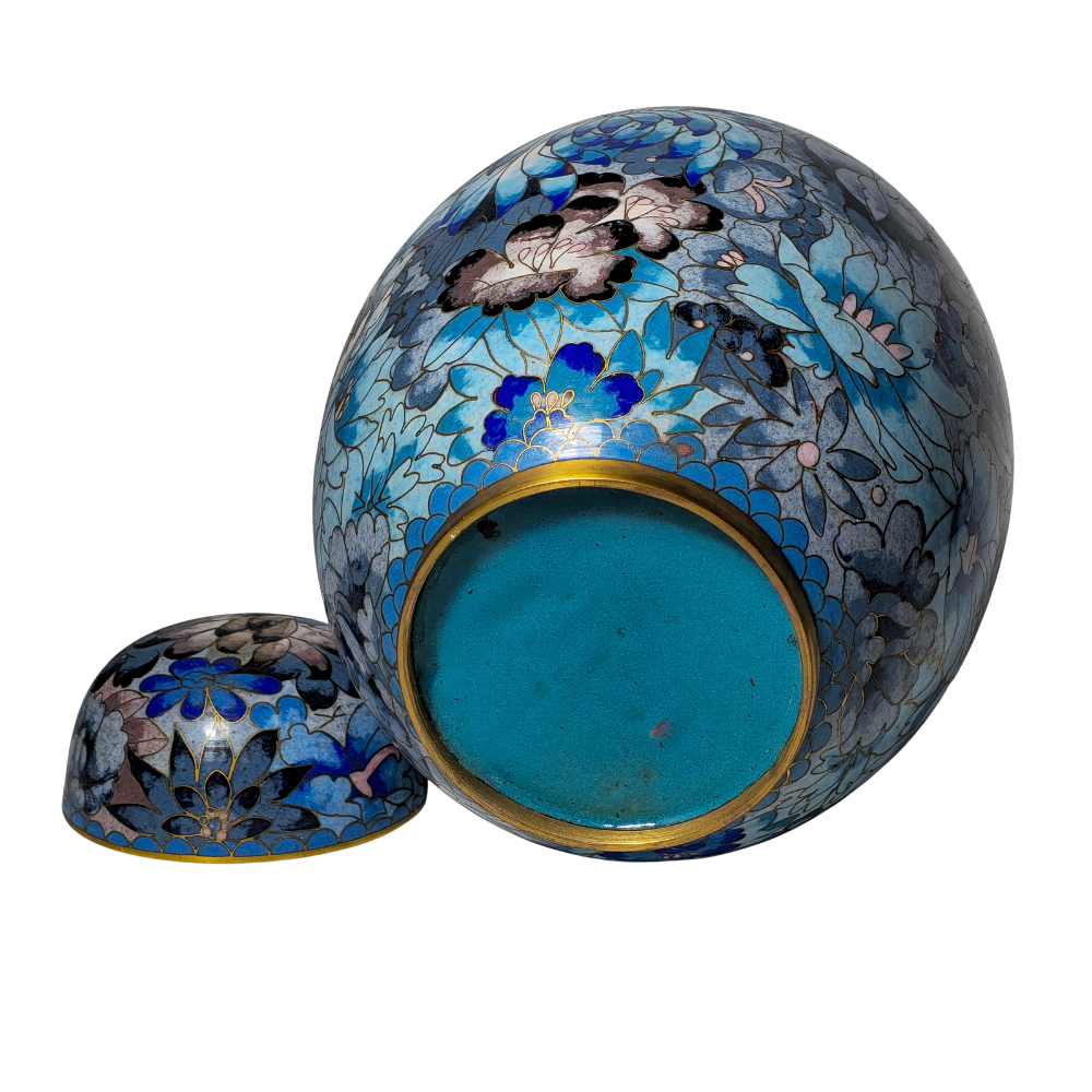 Tibor oriental azul.