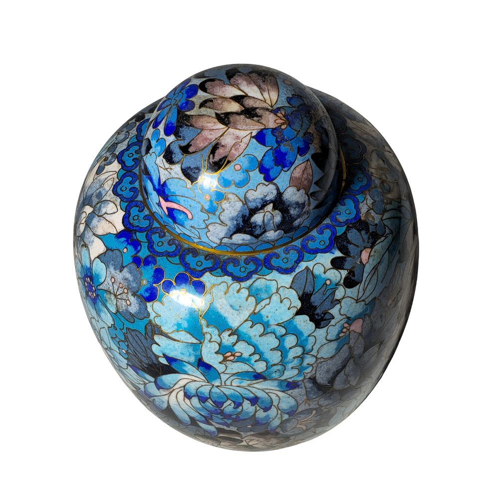 Tibor oriental azul.