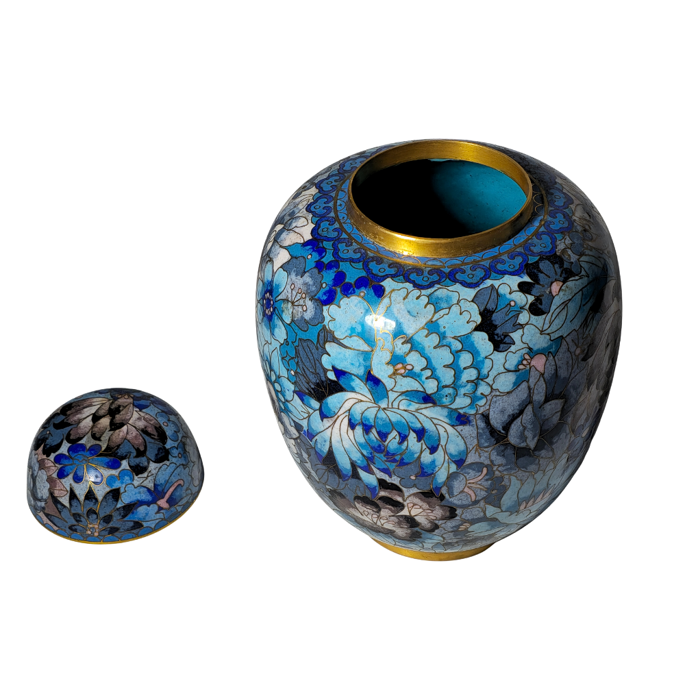 Tibor oriental azul.
