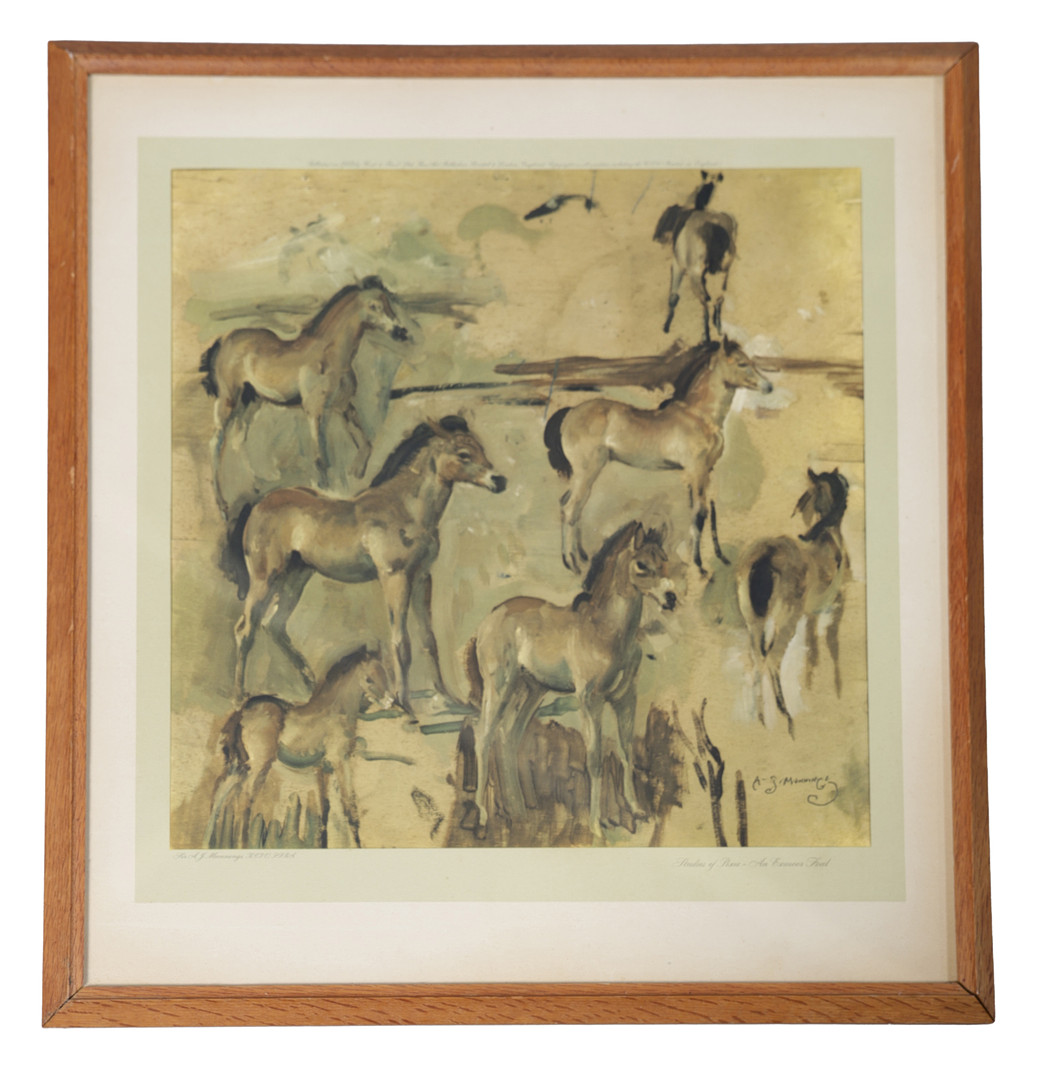 AFTER A.J. MUNNINGS, STUDIES OF PIXIE.