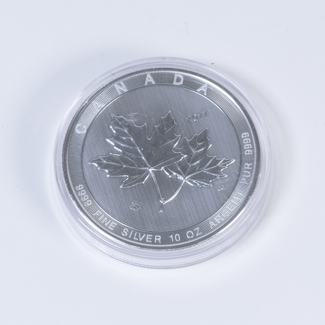Mynt, finsilver 999, 10 Troy Ounce, 50 Dollars, Elizabeth II, Kanada 2017.